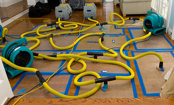 Professional Basement Flood Cleanup technician working in Sulphur Springs, IN